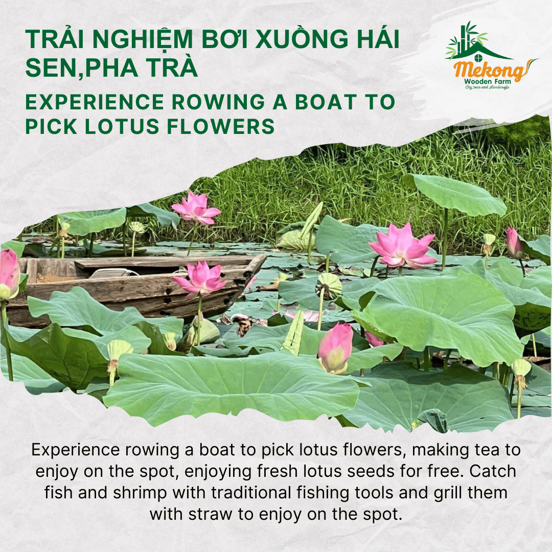 Experience rowing a boat to pick lotus flowers 2