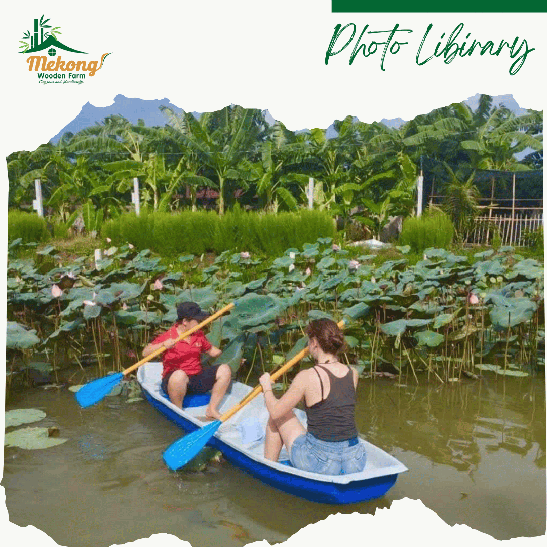 Experience rowing a boat to pick lotus flowers 3