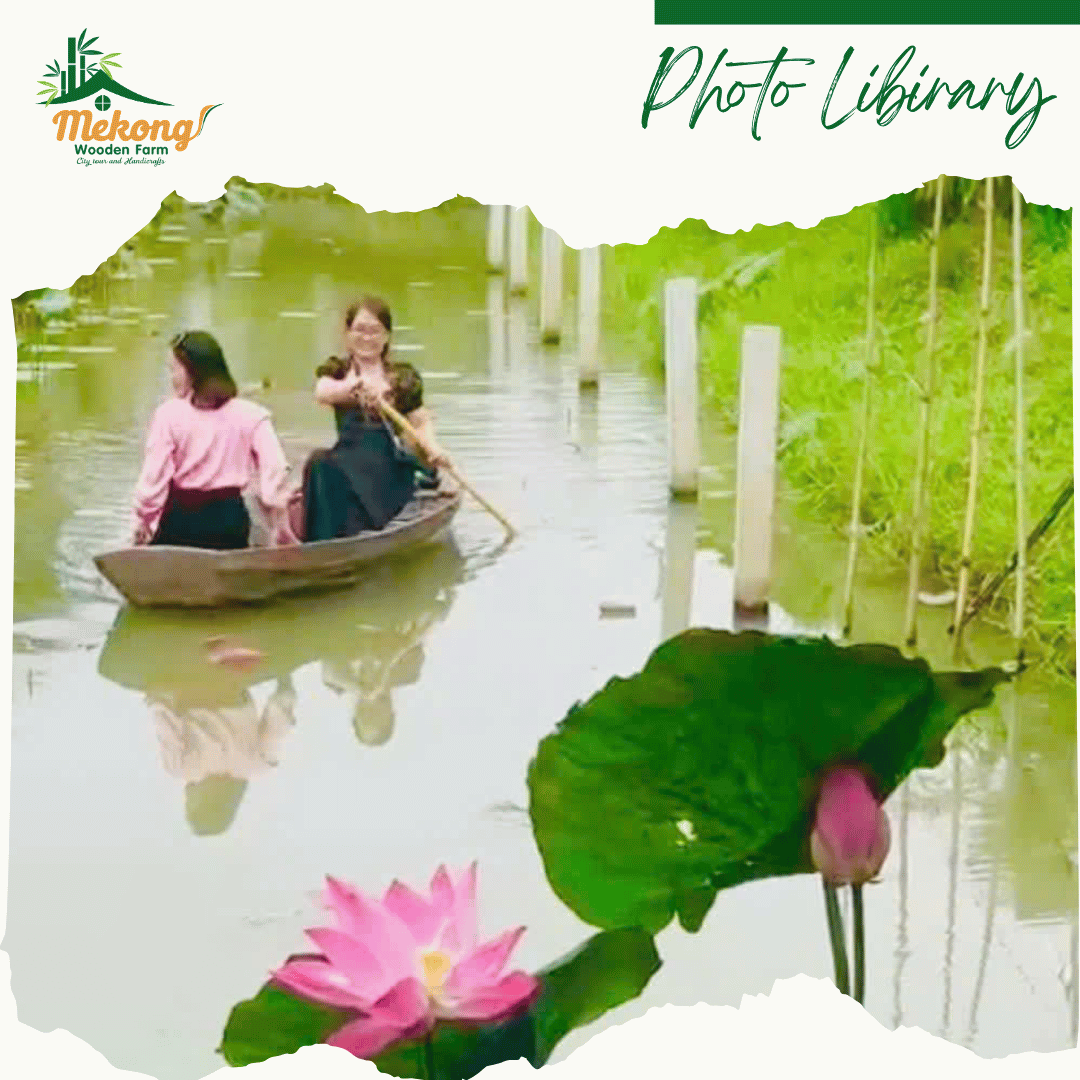 Experience rowing a boat to pick lotus flowers 5